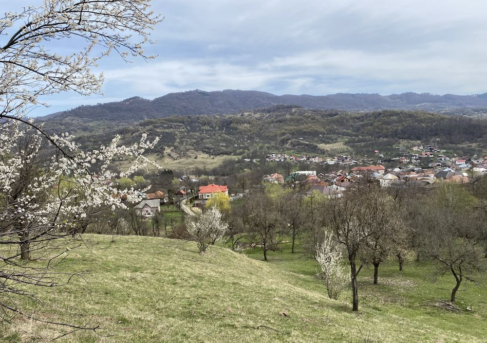 🏡 Oportunitate investiție în Corbi, Argeș | 22.000 mp teren în zonă de poveste