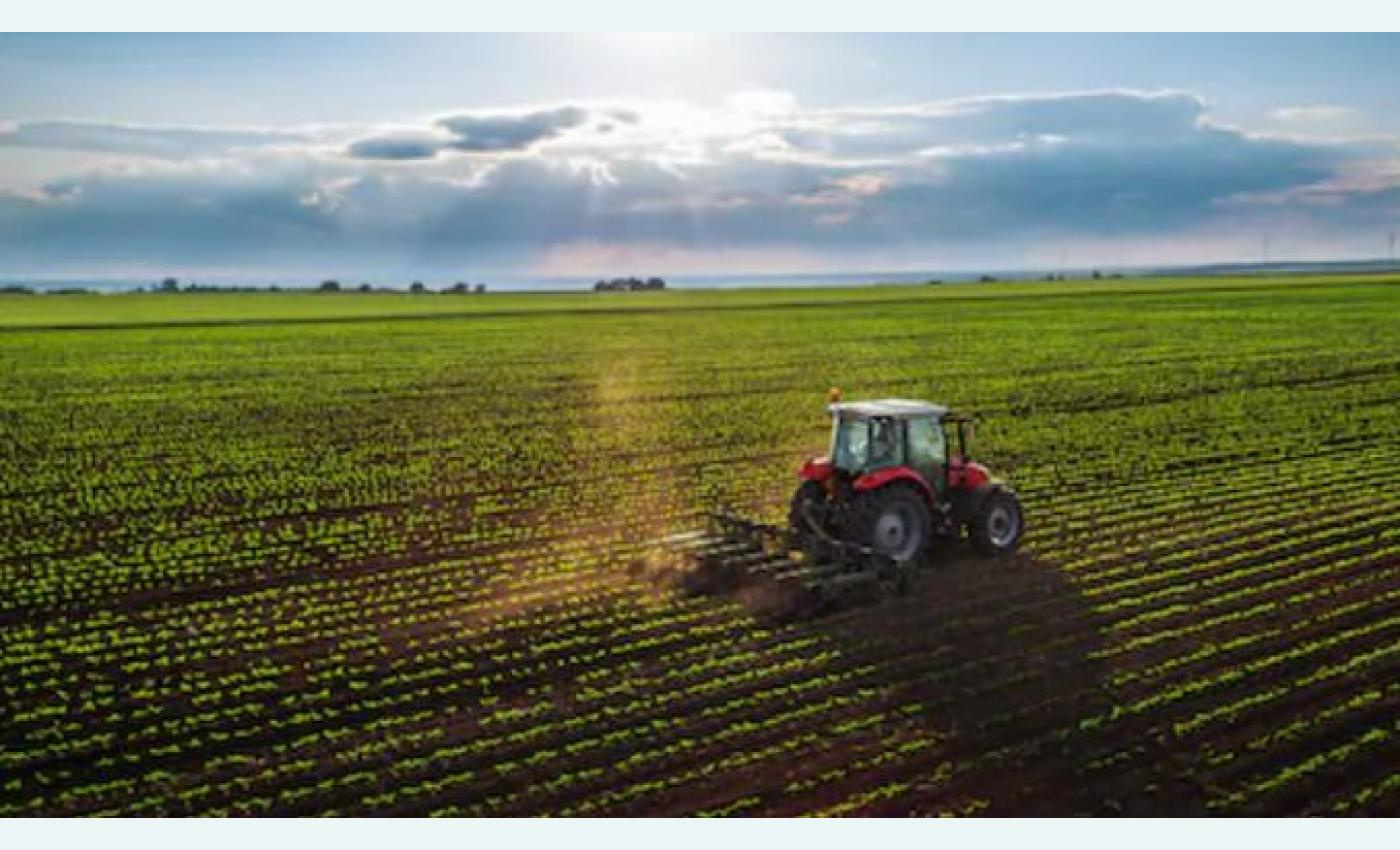 Teren agricol extravilan de vânzare – 22.960 mp – Măreș, Albota, Argeș