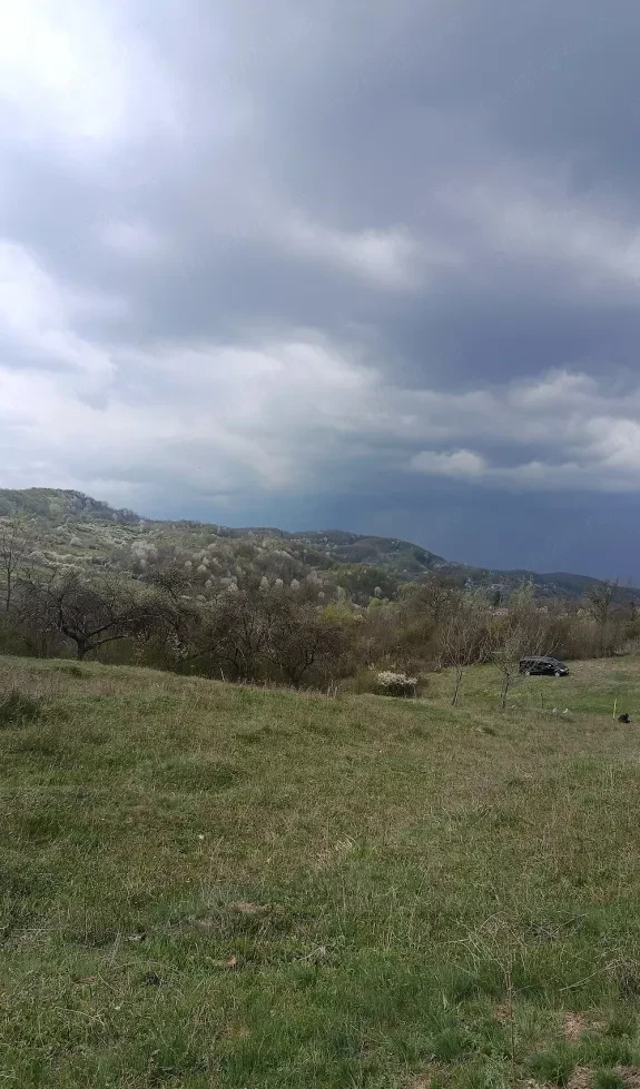 Teren extravilan de vânzare Tigveni | 4.944 mp | Panoramă superbă